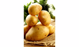 INDIAN POTATO