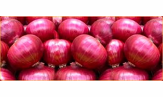 INDIAN ONION