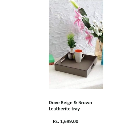 Dove Beige &amp; Brown Leatherite tray-TR081