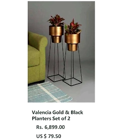 Valencia Gold & Black Planters Set of 2