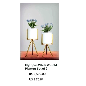 OlympusWhite &Gold Planters Set of 2