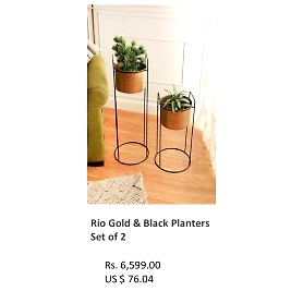 Rio Gold &Black Planters Set of 2