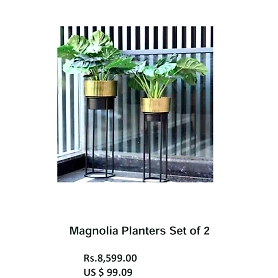 Magnolia Planters Set of 2