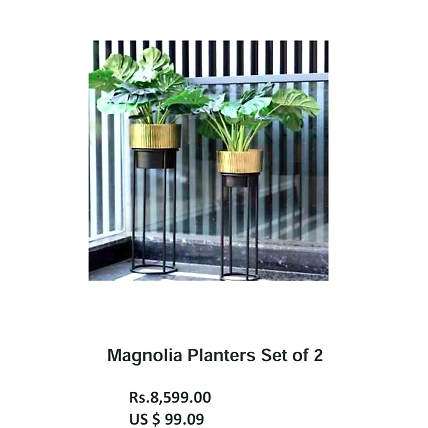 Magnolia Planters Set of 2-PL019