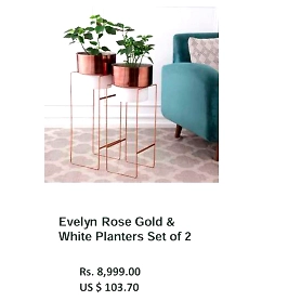 Evelyn Rose Gold & White Planters Set of 2