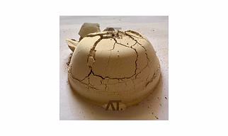 Diatomaceous Earth