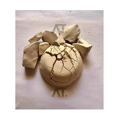 Diatomaceous Earth-1