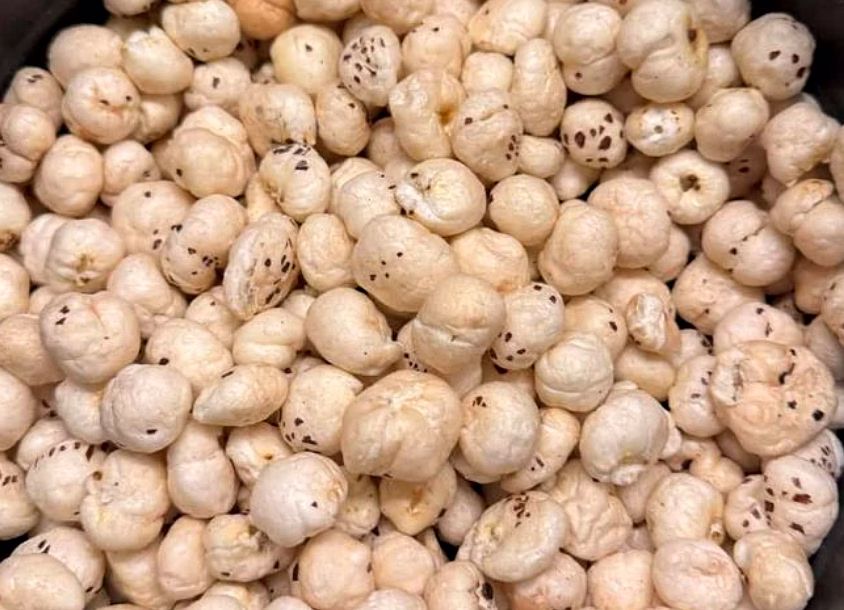 Premium Makhana Selection