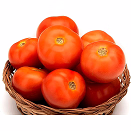 tamatoes