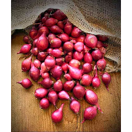 tamarind eximp small onion