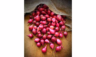 SMALL ONION
