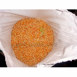 amoksh food yello maze