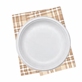 biodegradable disposable tableware eatin round plate 9 inch (made from 100% bagasse) set of 500 piece