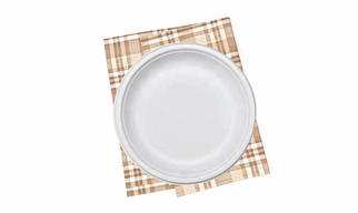 Biodegradable Disposable Tableware Eatin Round Plate 9 inch (Made from 100% Bagasse) set of 500 piece