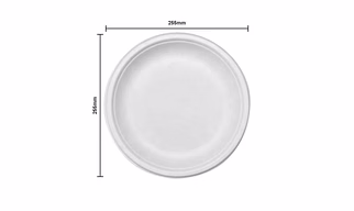 Biodegradable Disposable Tableware Round Plate 10 inch (Made from 100% Bagasse) set of 500 piece