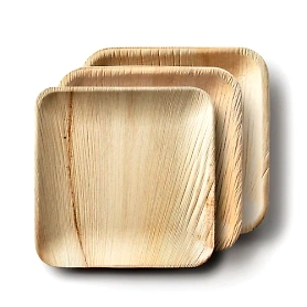 8" square areca leaf plate