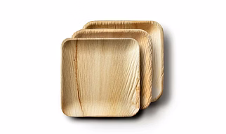 8" square areca leaf plate
