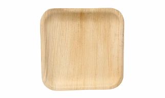 10" square areca leaf plate