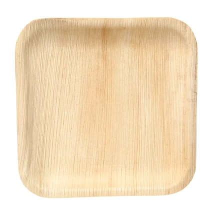10&quot; square areca leaf plate-12685573