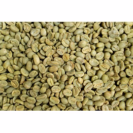 arabica green coffee beans