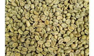 Arabica Green Coffee Beans