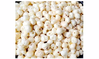 FOX NUTS