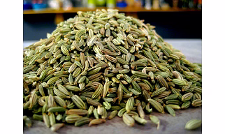 Fennel Seeds