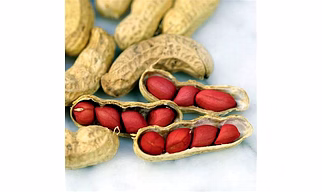 Peanut seeds