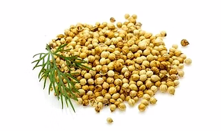 Coriander Seeds