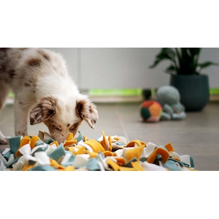 Interactive Snuffle Play Mat for Dogs-1