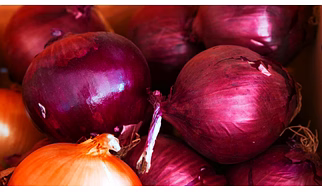Fresh Onions