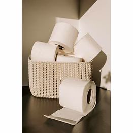 toilet roll