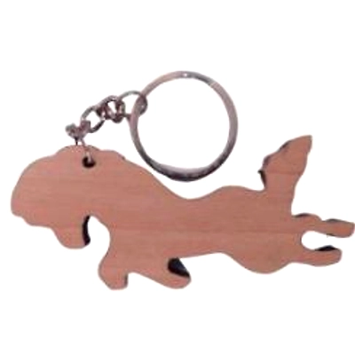 Keychain-4