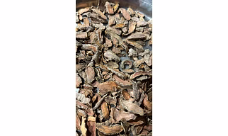Lakadong Turmeric