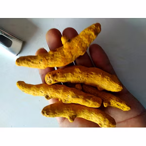 Turmeric