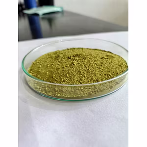 Organic Moringa Powder