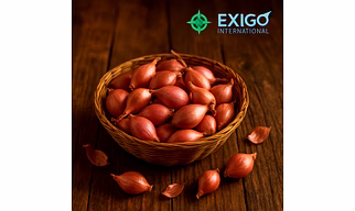 Small onions/Shallots