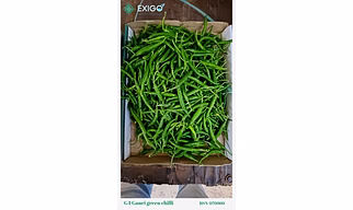 Green Chilli