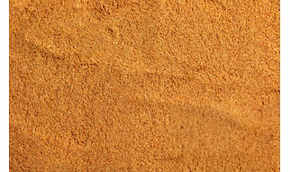 Coriander Powder