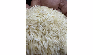 1509 STEAM BASMATI RICE