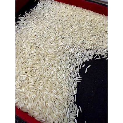 Truemate Associates 1121 STEAM BASMATI RICE