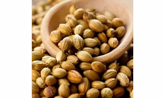 Coriander Eagle