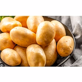 russet potato