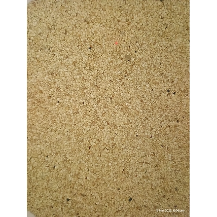 Sesame-2
