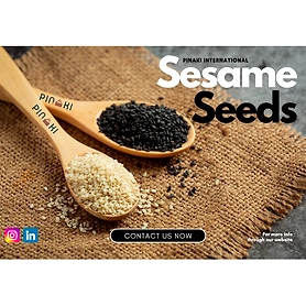 Sesame