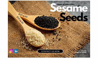 Sesame