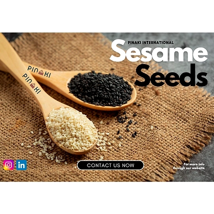 Sesame-12689829