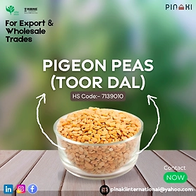 PIGEON PEA