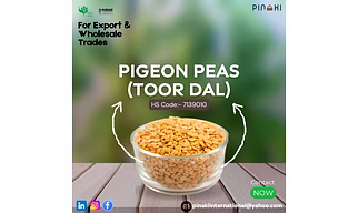 PIGEON PEA