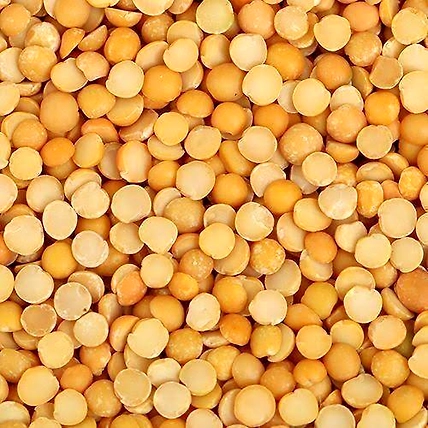 PIGEON PEA-2